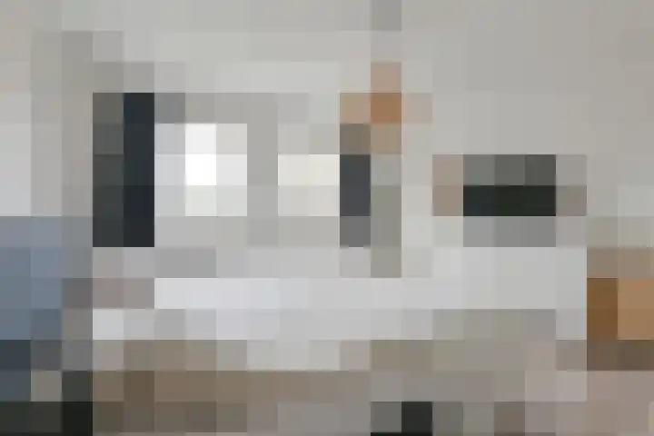 Algol 11 Hoogeveen thumbnail 23