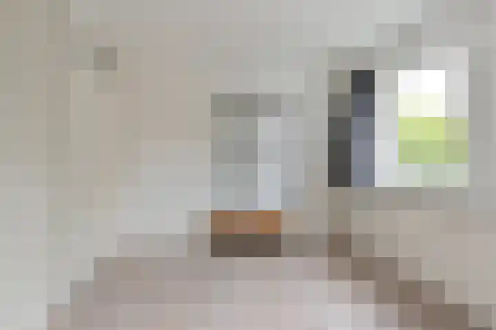 Algol 11 Hoogeveen thumbnail 32