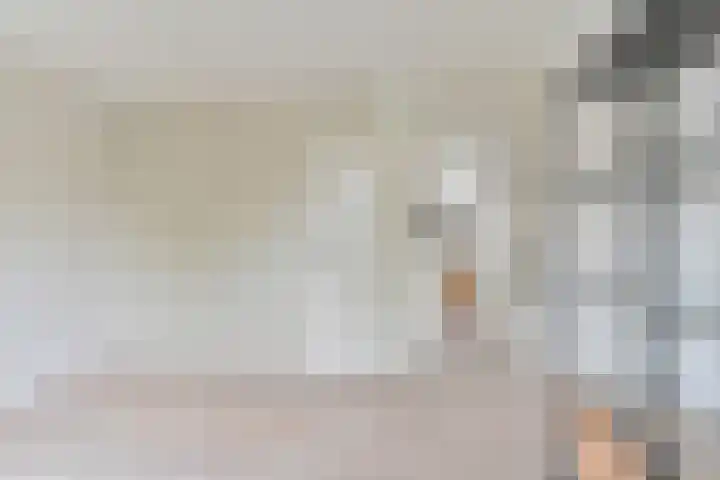 Algol 11 Hoogeveen thumbnail 33