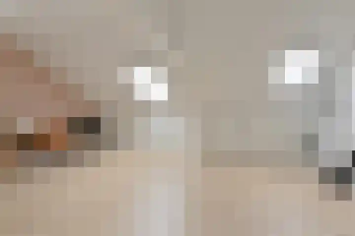 Algol 11 Hoogeveen thumbnail 37