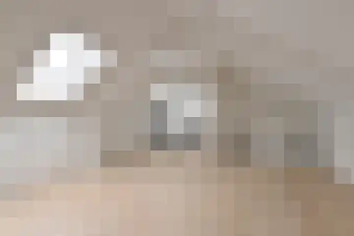 Algol 11 Hoogeveen thumbnail 38