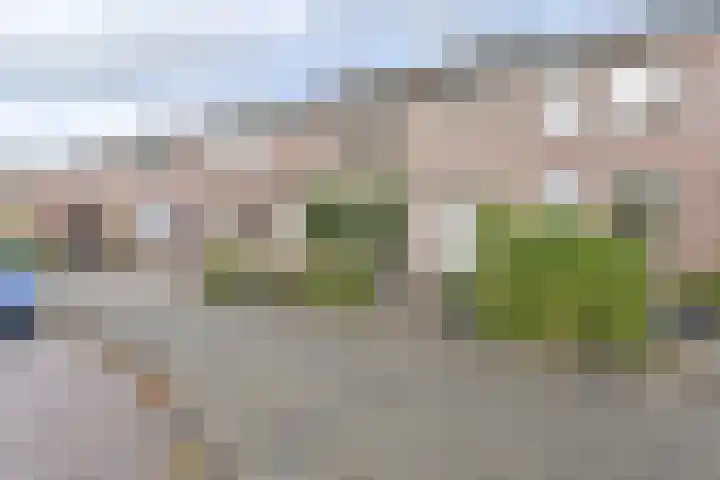 Algol 11 Hoogeveen thumbnail 4