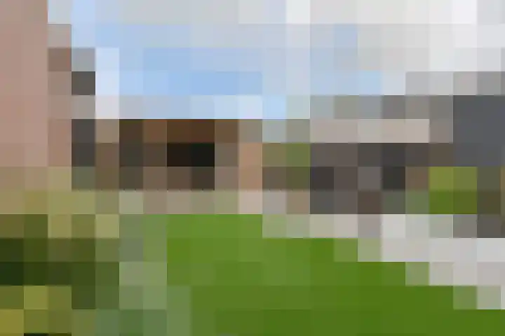 Algol 11 Hoogeveen thumbnail 40