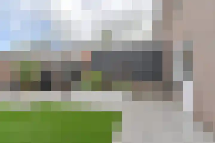 Algol 11 Hoogeveen thumbnail 41