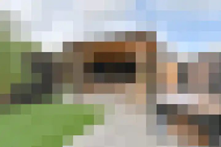 Algol 11 Hoogeveen thumbnail 42