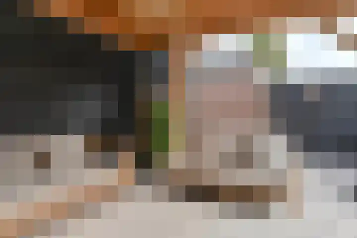 Algol 11 Hoogeveen thumbnail 46