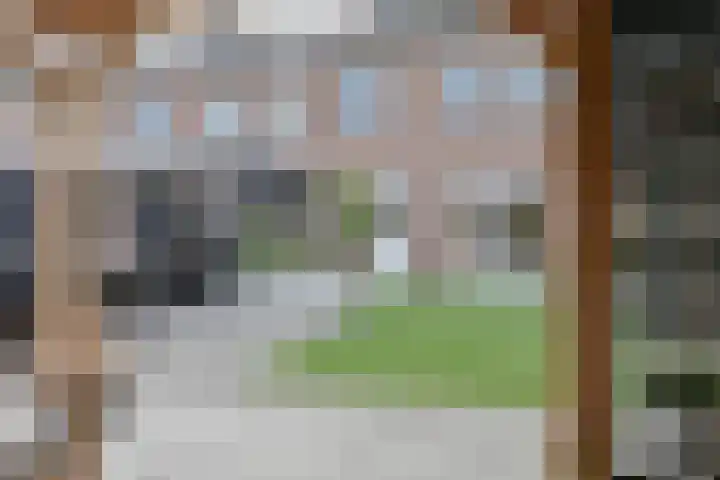 Algol 11 Hoogeveen thumbnail 47