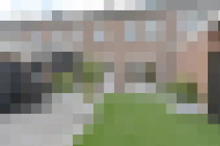 Algol 11 Hoogeveen thumbnail 48
