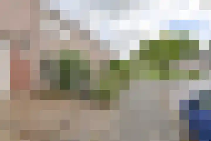 Algol 11 Hoogeveen thumbnail 49