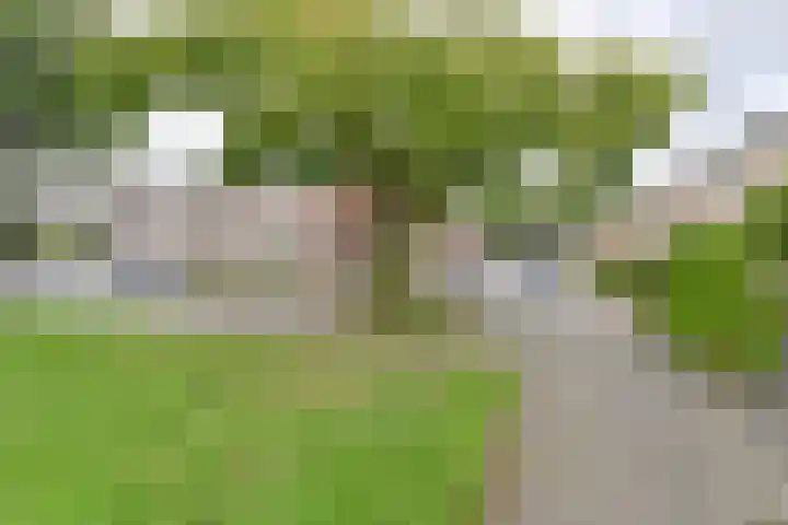 Algol 11 Hoogeveen thumbnail 50