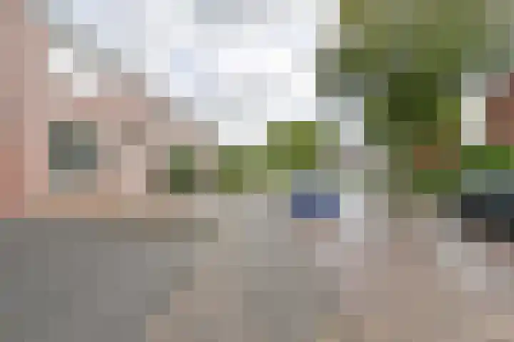 Algol 11 Hoogeveen thumbnail 51