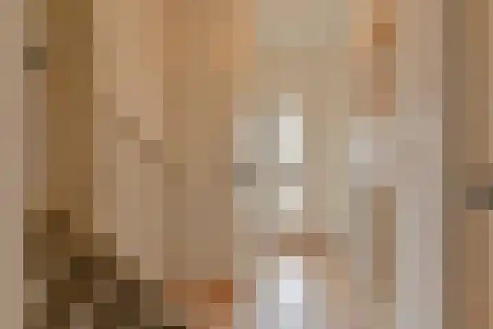 Algol 11 Hoogeveen thumbnail 6
