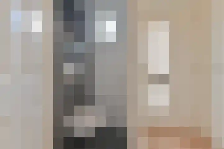 Algol 11 Hoogeveen thumbnail 7