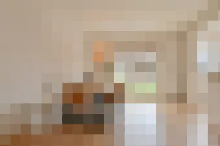 Algol 11 Hoogeveen thumbnail 9