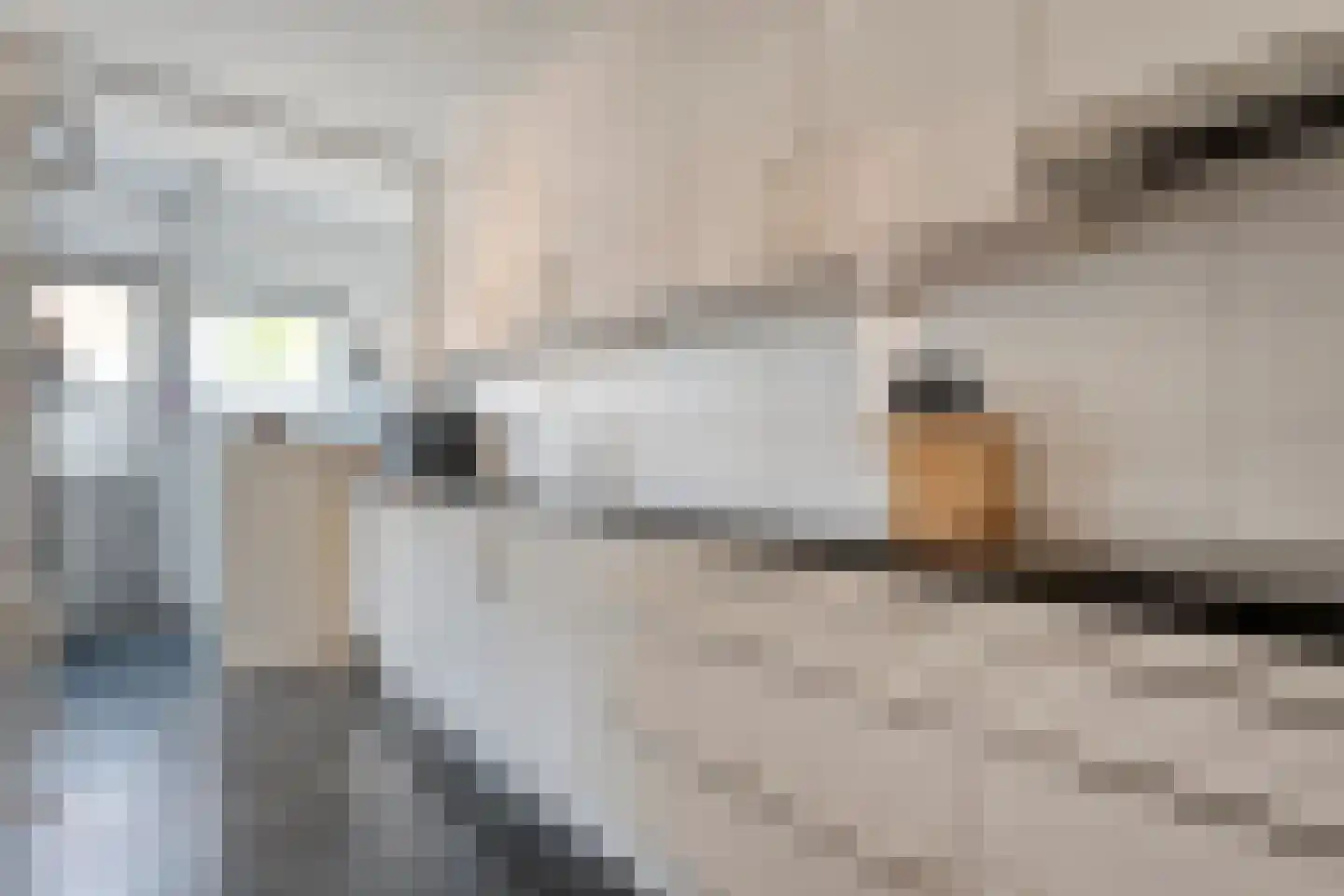 Algol 19 Hoogeveen thumbnail 17