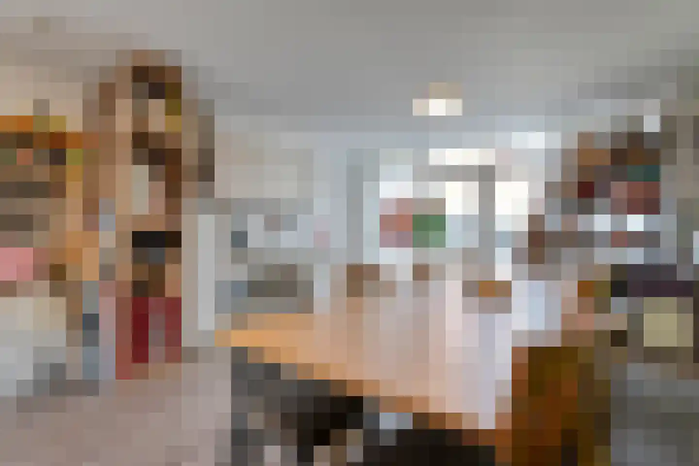 Algol 19 Hoogeveen thumbnail 21