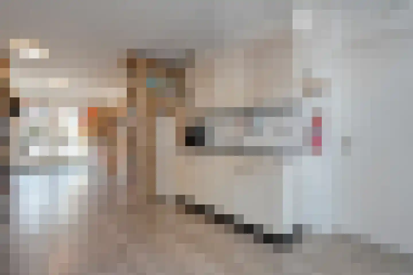 Algol 19 Hoogeveen thumbnail 23