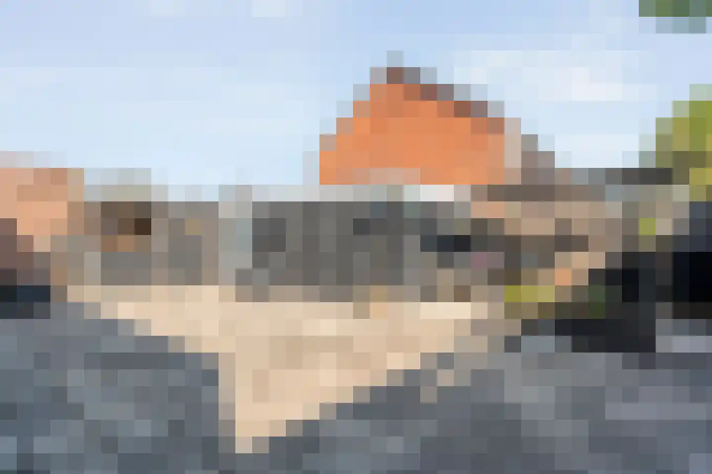 Algol 19 Hoogeveen thumbnail 46