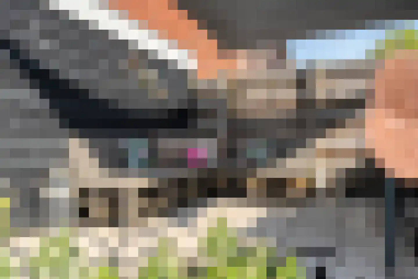 Algol 19 Hoogeveen thumbnail 53