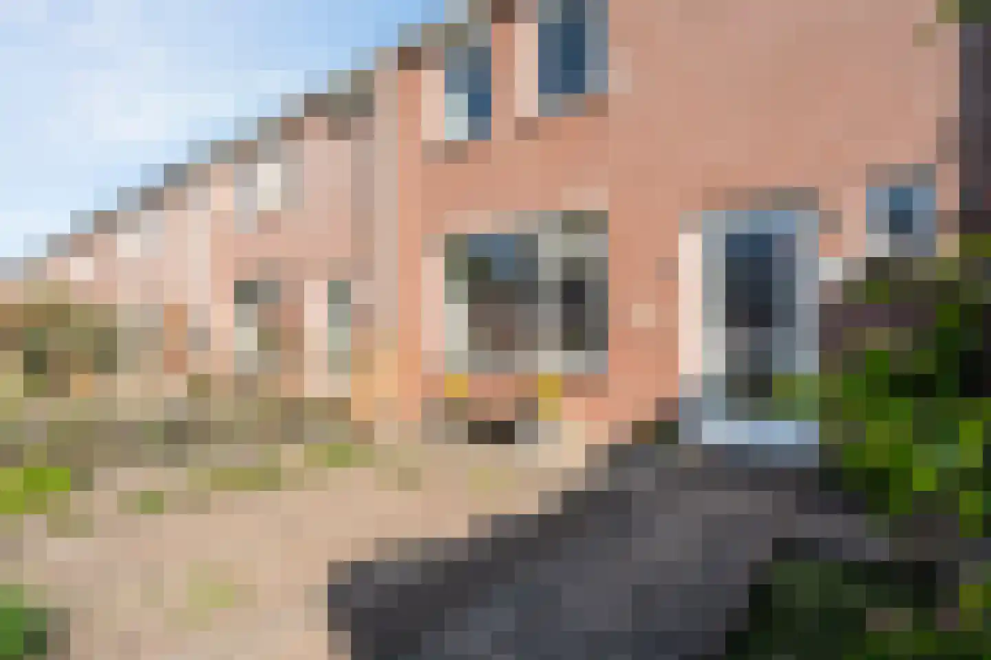 Algol 19 Hoogeveen thumbnail 6