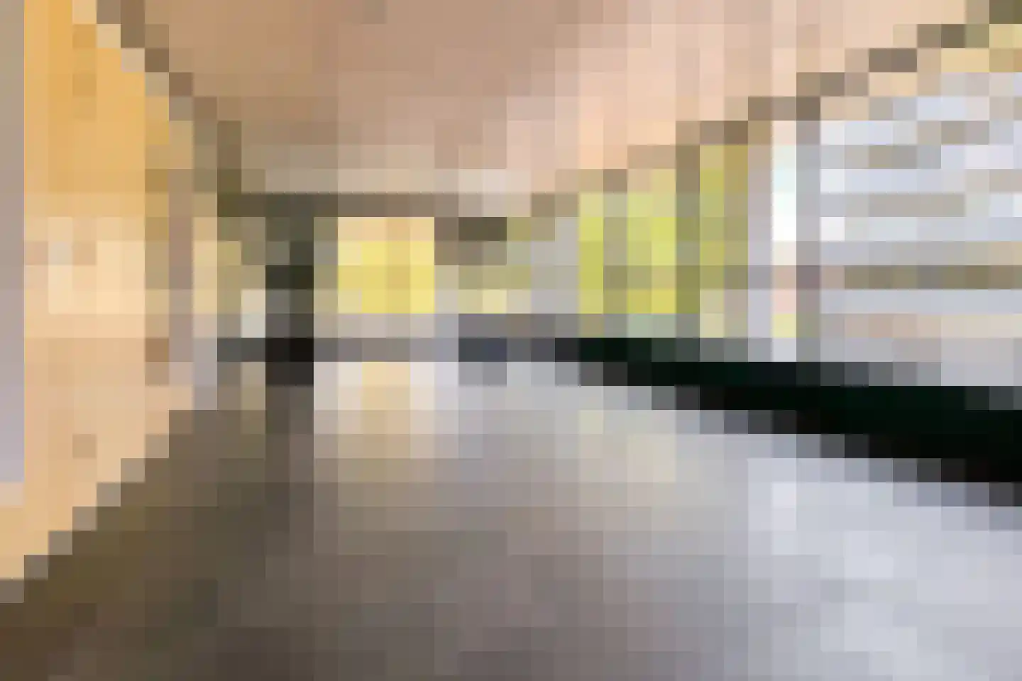 Algonquin 31 Hengelo thumbnail 47