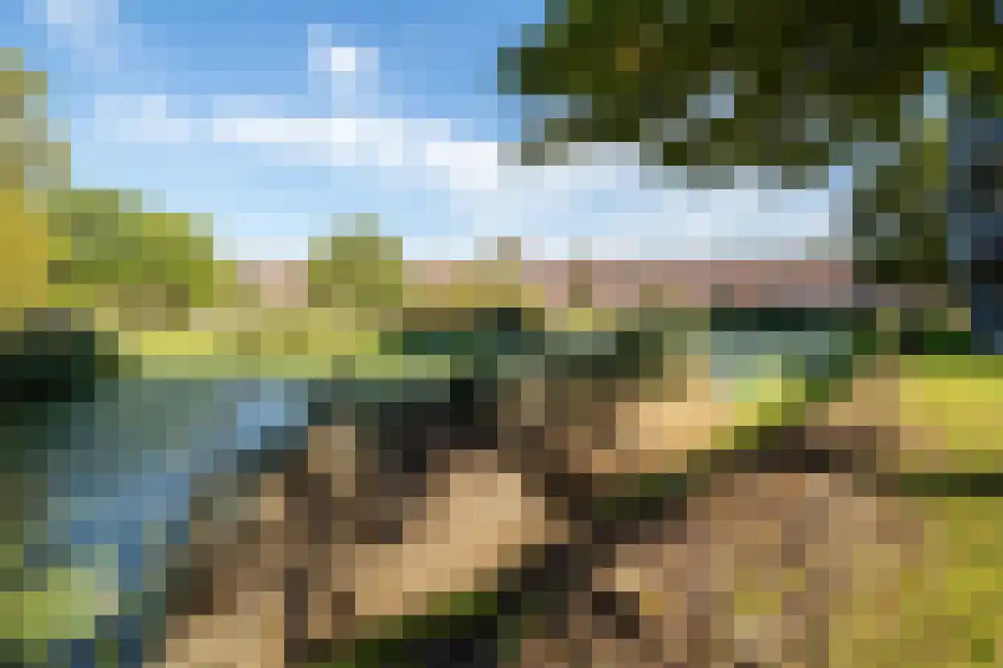 Algonquin 31 Hengelo thumbnail 57