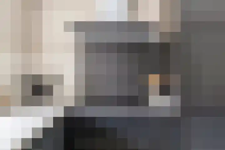 Alholm 31 Hoofddorp thumbnail 17
