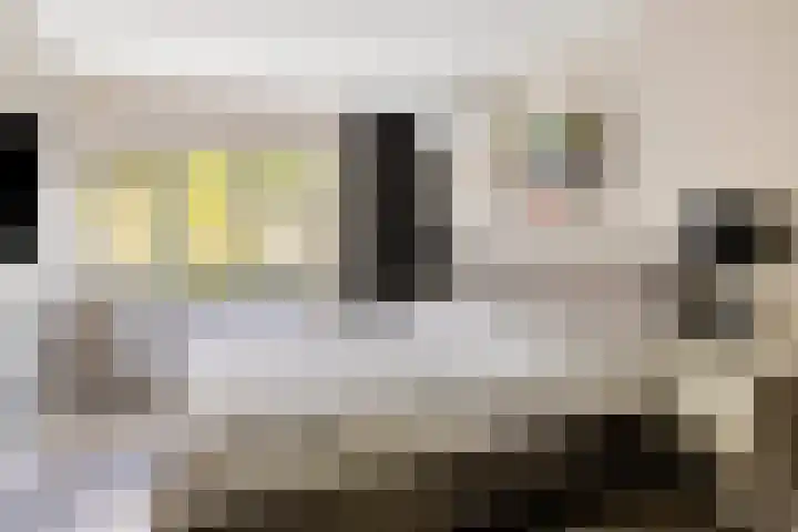 Alholm 31 Hoofddorp thumbnail 20