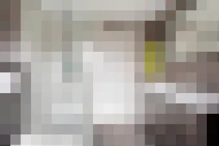 Alholm 31 Hoofddorp thumbnail 23