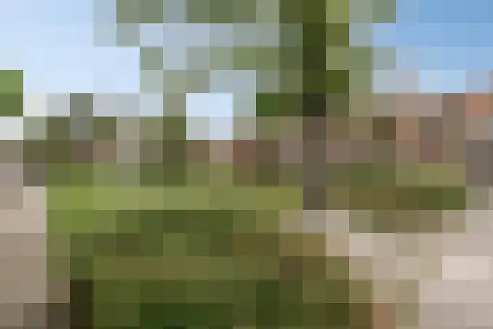 Alholm 31 Hoofddorp thumbnail 37
