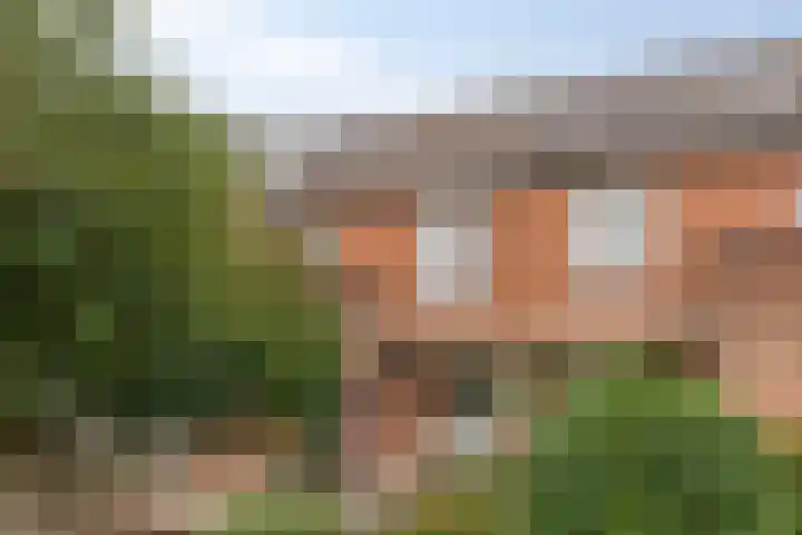 Alholm 31 Hoofddorp thumbnail 39