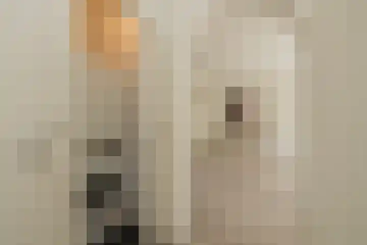 Alholm 39 Hoofddorp thumbnail 14