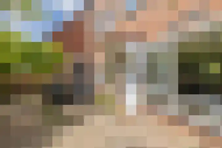 Alholm 39 Hoofddorp thumbnail 26