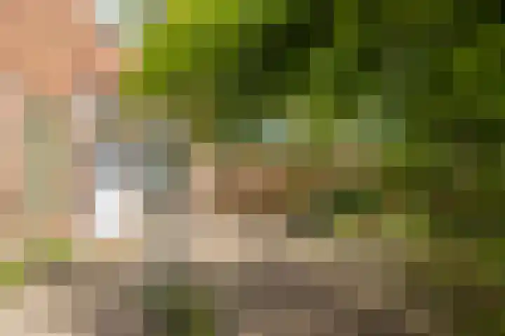 Alholm 39 Hoofddorp thumbnail 28