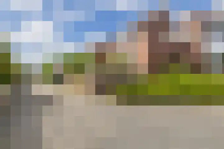 Alholm 39 Hoofddorp thumbnail 30