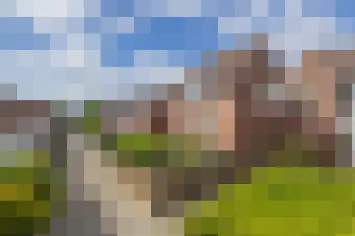 Alholm 39 Hoofddorp thumbnail 31