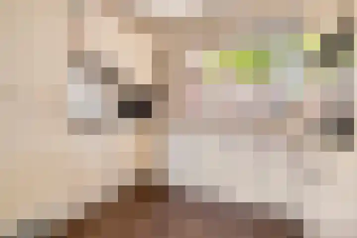 Alholm 46 Hoofddorp thumbnail 11