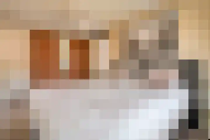 Alholm 46 Hoofddorp thumbnail 19