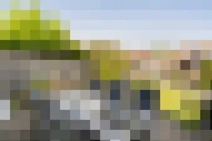 Alholm 46 Hoofddorp thumbnail 34