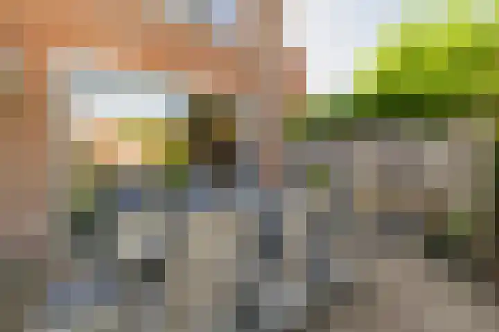 Alholm 46 Hoofddorp thumbnail 35