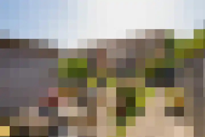 Alholm 46 Hoofddorp thumbnail 41