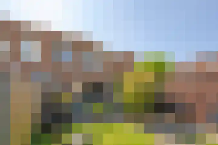 Alholm 46 Hoofddorp thumbnail 42