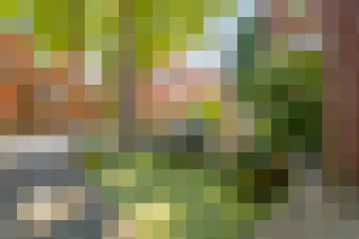Alholm 46 Hoofddorp thumbnail 43