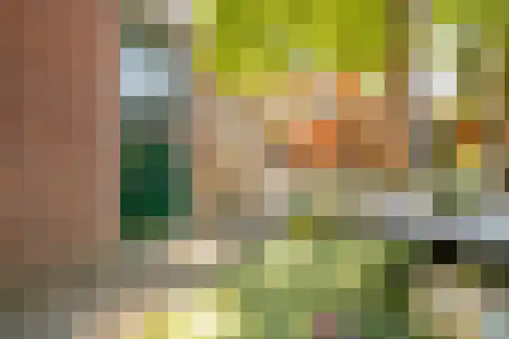 Alholm 46 Hoofddorp thumbnail 44
