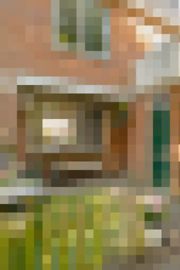 Alholm 46 Hoofddorp thumbnail 45