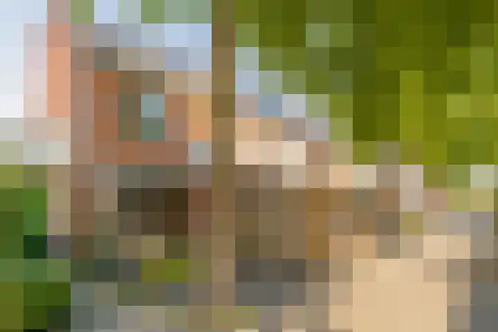 Alholm 46 Hoofddorp thumbnail 47