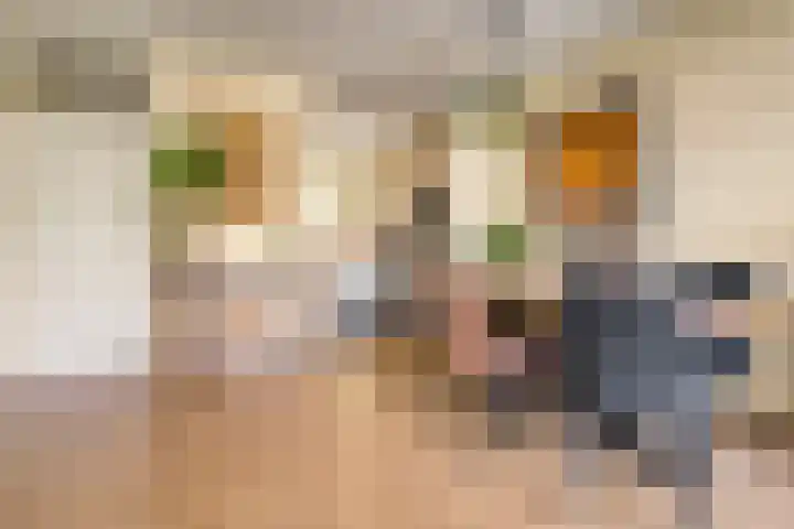 Alholm 46 Hoofddorp thumbnail 9