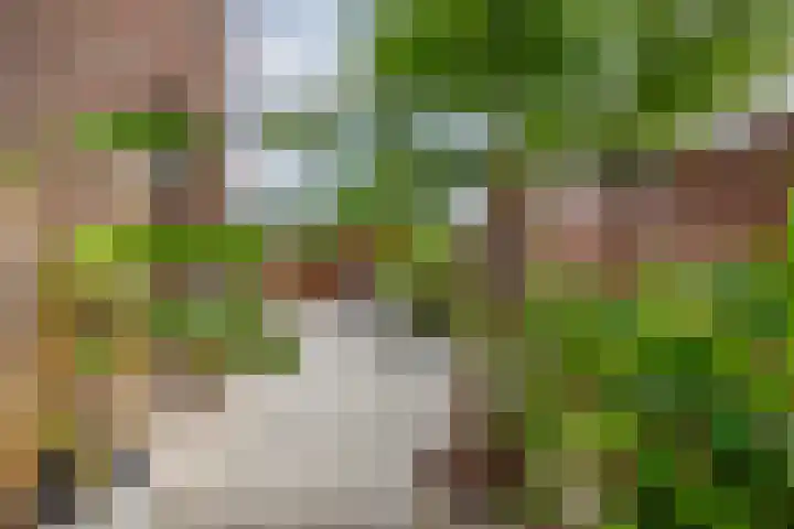 Alholm 58 Hoofddorp thumbnail 30