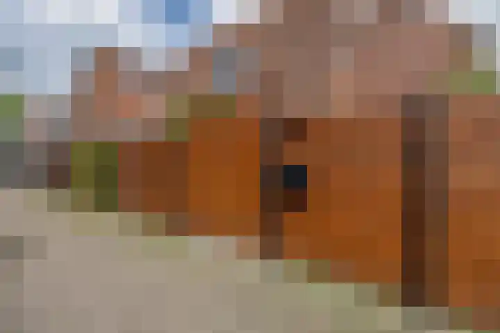 Alholm 58 Hoofddorp thumbnail 32