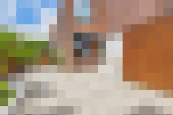 Alholm 58 Hoofddorp thumbnail 4